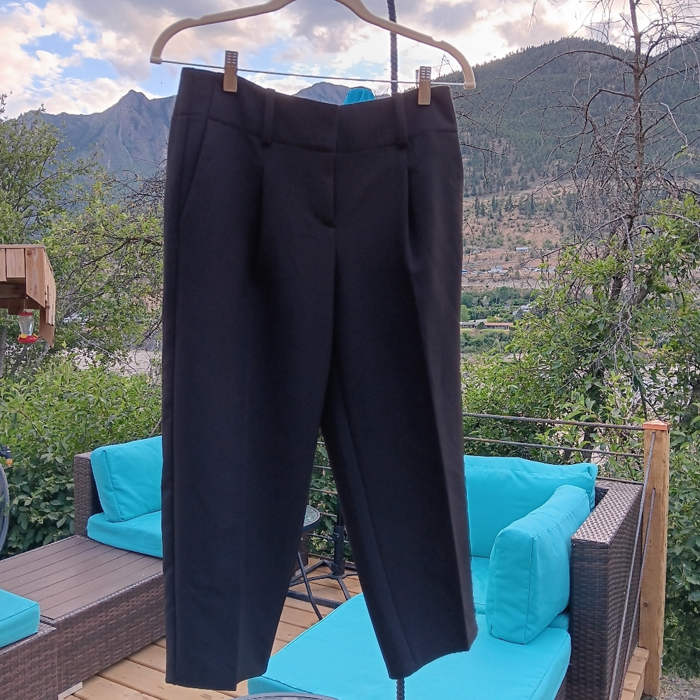 Ann Taylor Capris - Size 0